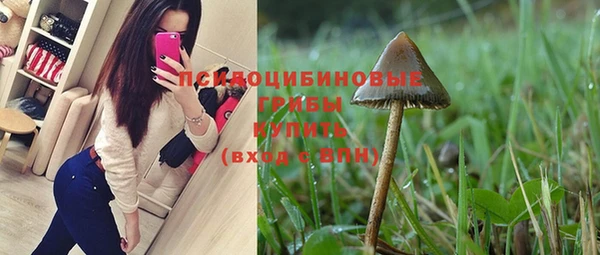 мяу мяу мука Краснослободск
